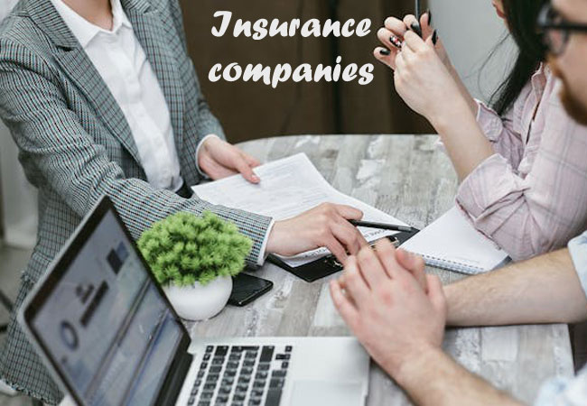 Insurance companies