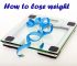 How to lose weight